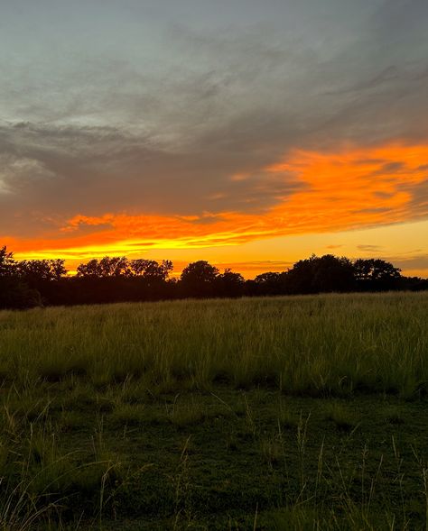 dog, sunset, oklahoma, oklahoma sunset, landscape, summer Oklahoma Aesthetic, Oklahoma Living, Oklahoma Sunset, Dog Sunset, Sunset Landscape, Wild West, Badger, Oklahoma, Lake