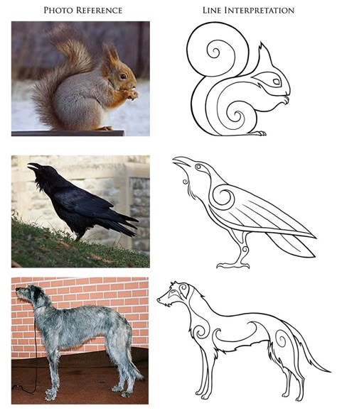 Celtic Coloring Pages, Animals And Birds, Celtic Patterns, Celtic Knotwork, Viking Art, A Squirrel, Celtic Art, Celtic Designs, Animal Design