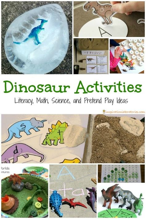 30 Dinosaur Activities for Kids includes literacy, math, science, and pretend play ideas 3dinosaurs.com Free Printables, Kindergarten Dinosaur Activities, Dinosaurs Kindergarten, Dinosaur Theme Preschool, Dinosaur Activities Preschool, Dino Theme, Montessori Shelf, Summer Themes, 3 Dinosaurs