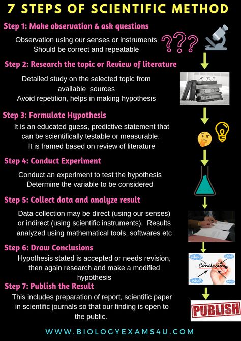 7 Steps of scientific method with explanation poster. Super simplified summary of scientific method. Steps Of Scientific Method, Scientific Method Anchor Chart, Scientific Method Elementary, Scientific Method Middle School, Scientific Method Experiments, Scientific Method Steps, Scientific Method Activities, Study Physics, Scientific Method Posters