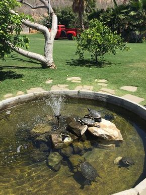 Turtle Outside Habitat, Outside Turtle Pond, Turtle Aquarium Ideas, Tartaruga Habitat, Above Ground Pond, Pond Turtle, Turtle Garden, Turtle Aquarium, Turtle Homes