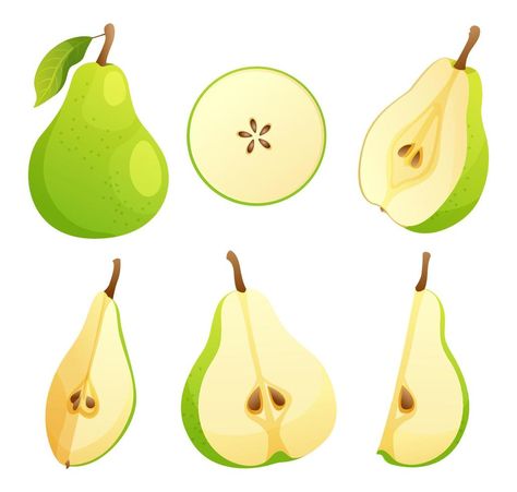 Cut Open Fruit, Pear Illustration, Pear Drawing, Solar Time, Pear Art, Learning Poster, Pear Fruit, Grad School, Beer Label