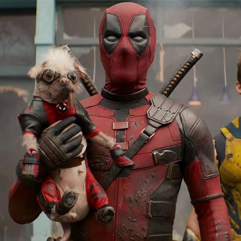 Dog Pool Deadpool, Deadpool And Dogpool, Marvel Jesus, Age Doesn't Matter, Cute Deadpool, Deadpool Pictures, Ryan Reynolds Deadpool, Great Costume Ideas, Deadpool Funny