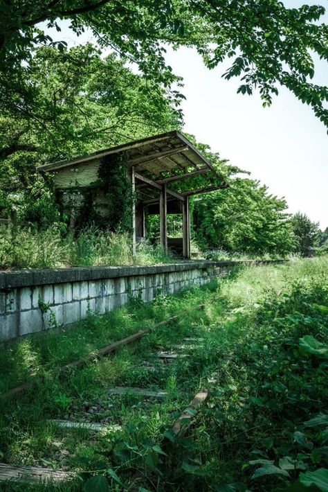 Abandoned Train Station, Abandoned City, Post Apocalyptic Art, Art Assignments, Abandoned Train, Aesthetic Roses, Wild Forest, Urban Aesthetic, Countryside House