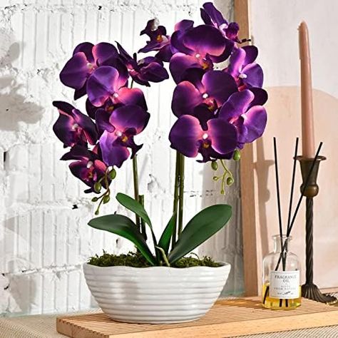 Master Suite Decor, Suite Decor, Potted Orchid, Wedding Decoration Table, Ceramics Vase, Dining Room Centerpiece, Large Flower Arrangements, Orchid Plant, Artificial Orchids