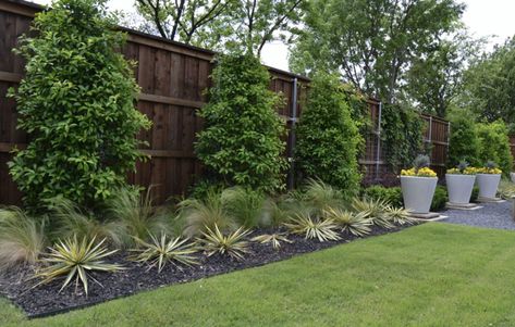 Texas Landscaping, Texas Plants, Residential Landscaping, Residential Landscape, Southern Garden, Texas Gardening, Landscaping Supplies, Landscape Services, Landscape Plans