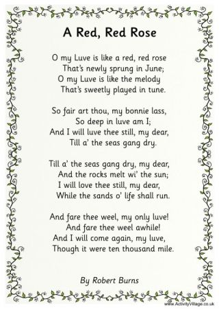 A Red Red Rose Burns Night Quotes, Burns Night Activities, Night Activities For Kids, Burns Night Decorations, Burns Night Crafts, Burns Dinner, Robert Burns Day, High School Poetry, Scottish Poems