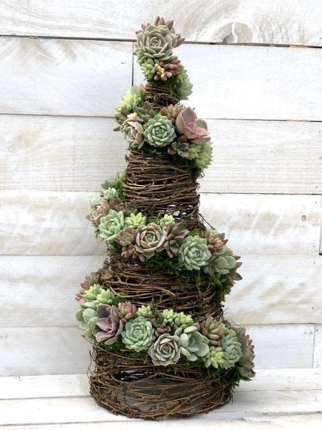 Christmas Tree Live, Grapevine Ideas, Succulent Christmas Tree, Christmas Tree Topiary, Succulent Christmas, Grapevine Tree, Succulent Tree, Live Christmas Trees, Plastic Christmas Tree