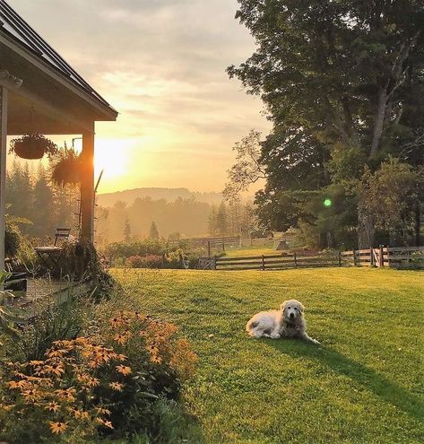 Future Farms, Dream Life House, Casa Country, Aesthetic Pink, Future Life, Nature Aesthetic, Pretty Places, Country Life, Farm Life