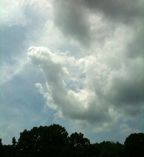 cloud animal Dragon In The Clouds, Cloud Animals, Cloud Dragon, Cloud Images, Art Clouds, Angel Clouds, Puffy Clouds, Mythical Dragons, Stone Statue