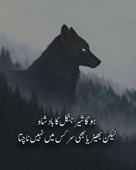 #Deep Wolf Poetry, Attitude Lines, Haidar Ali, Fb Wallpaper, Words To Describe People, Urdu Aesthetic, Rumi Quotes Soul, Tiktok Photo, Calligraphy Quotes Doodles