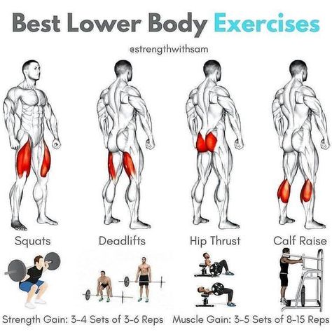 Gym Exercises To Build Muscle Fast - Infoupdate.org Fitness Mantra, Ectomorph Workout, Lower Body Exercises, Exercises For Men, Fitness Studio Training, Workout Man, Gym Antrenmanları, Gym Workout Chart, Body Exercises