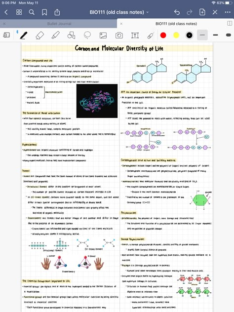 Ipad Chemistry Notes, Chemistry Goodnotes, Uni Notes, Goodnotes Ideas, Chemistry Revision, Seventh Grade Math, Ipad Notes, Notes Inspo, Goodnotes 5