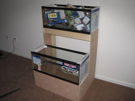 DIY stand for a multi-tank setup (56k) - The Planted Tank Forum Cocktail Umbrella Wreath, 55 Gallon Aquarium Stand, Dart Frog Terrarium, Diy Aquarium Stand, Unique Fish Tanks, Aquarium Stands, Fish Stand, Fish Tank Stand, Plywood Design