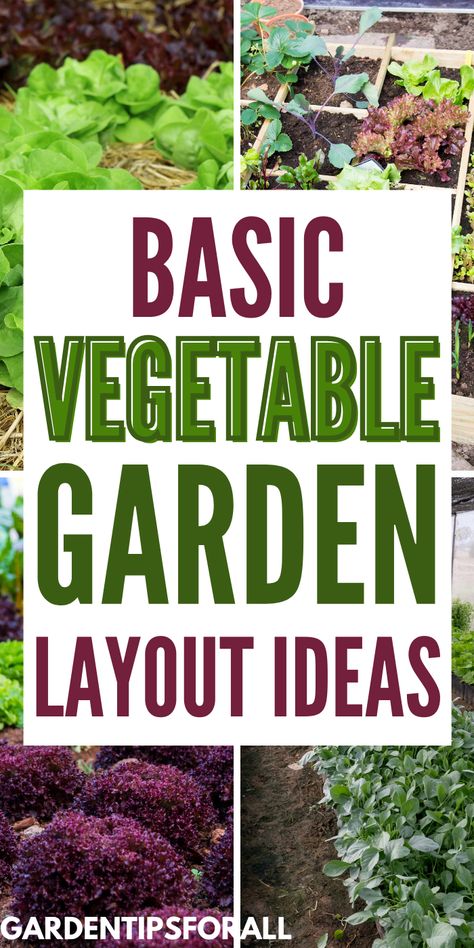 How To Plant Your Vegetable Garden, Veg Garden Design Layout, How To Design A Vegetable Garden, Best Veggies To Plant In Raised Beds, Gardens Ideas Backyard Vegetable, Plan A Garden Layout, Vegetables Garden Ideas Backyard, Tomato Garden Layout, Garden Box Layout Raised Beds