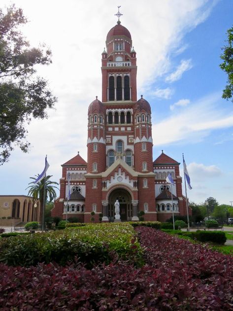 Downtown Lafayette Louisiana, Lafayette Louisiana Aesthetic, Galveston Aesthetic, Traveling By Car, Louisiana Swamp, Swamp Tours, Channel Catfish, Louisiana Travel, Louisiana Cajun