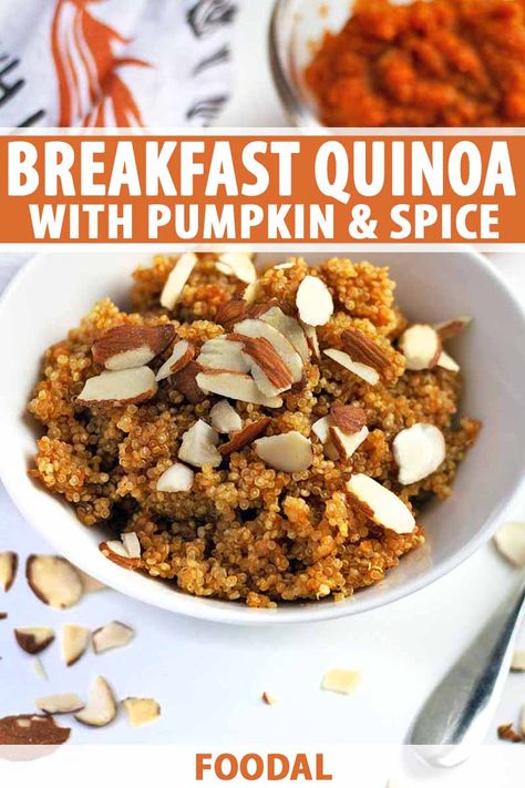 Get your pumpkin spice fix with a bowl of this warm and nourishing breakfast quinoa! Filled with pureed pumpkin and spices, drizzled with maple syrup, and then topped with nuts, it’s a cozy yet nutritious way to start your day. Read more now to add this recipe to your collection of favorites. #healthybreakfast #foodal Breakfast Quinoa Recipes, Quinoa Flakes, Breakfast Quinoa, Pumpkin Quinoa, Baked Breakfast Recipes, Quinoa Breakfast, Homemade Pumpkin Puree, Pure Vanilla, Spice Recipes