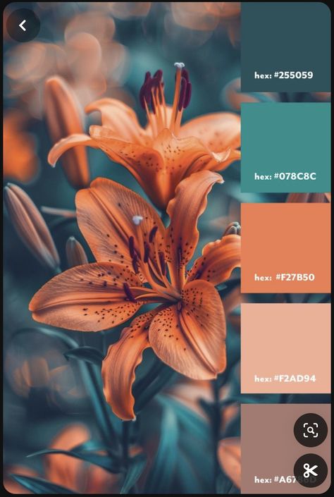 Peach Color Palettes, Teal Palette, Jewel Tone Color Palette, Teal Color Palette, Teal Color Schemes, Color Design Inspiration, Orange Color Palettes, Hex Color Palette, Color Palette Challenge