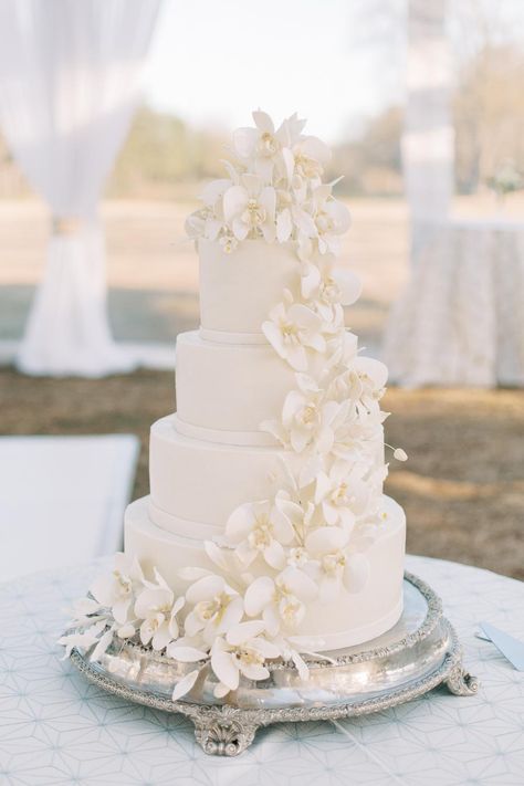 Photography: http://demimabry.com Wedding Cakes Simple Elegant Romantic, Wedding Cake With White Flowers, 6 Tier Wedding Cakes, Wedding Cake Simple Elegant, Tented Wedding Reception, Whimsical Wallpaper, Tented Reception, Bride Ideas, Tented Wedding