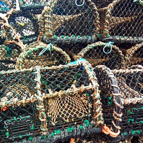 Lobster Aesthetic, Maritime Photography, Fisherman Aesthetic, Siren Oc, Crab Net, Water Inspiration, Crab Trap, Trap Art, Beach Captions