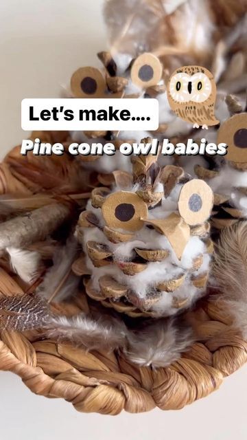 Forest Animal Kindergarten, Activities With Pine Cones, Autumn Animal Activities, Owl Theme Preschool Activities, Owls Eyfs Activities, Bird Eyfs Activities, Owls Kindergarten Activities, Owl Babies Craft, Wow Said The Owl Activities