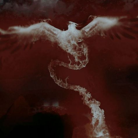 Battle Magic Aesthetic, Fantasy Red Aesthetic, Pyrokenisis Aesthetic, Osiris Aesthetic, Red Fantasy Aesthetic, Red Magic Aesthetic, Diluc Aesthetic, Phoenix Aesthetic, Phoenix Force