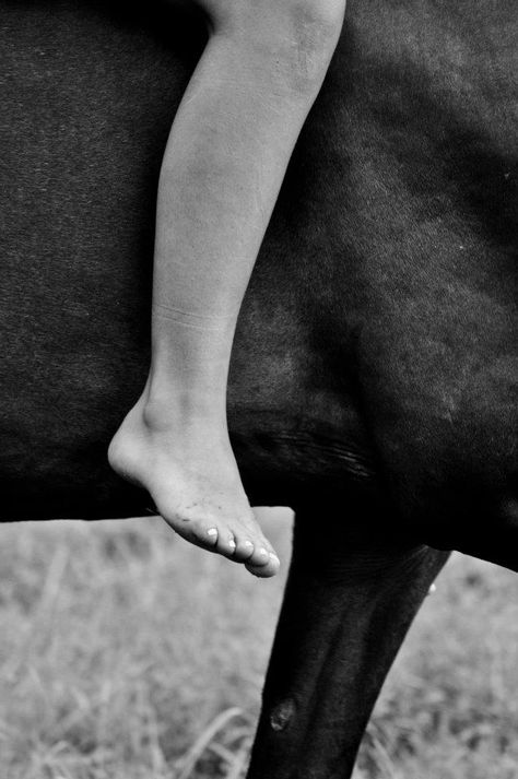 Man I miss horseback riding... bareback and barefoot<3<3 Equine Massage, Horse Photography Poses, Foto Cowgirl, Horse Photo, Horse Therapy, Shotting Photo, Horse Aesthetic, Equestrian Life, Equine Photography