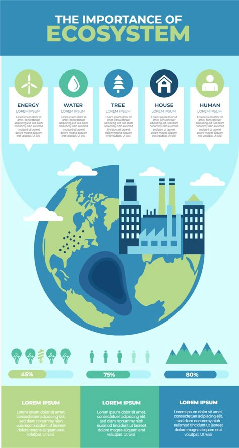 Sustainability Infographic, Scientific Poster Design, Info Poster, Scientific Poster, Infographic Ideas, Environmental Problems, Infographic Inspiration, Environmental Engineering, Environmental Problem