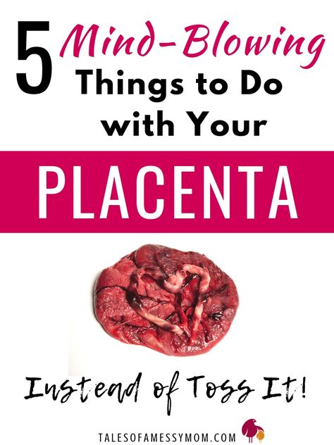 After Birth Photoshoot, Placenta Recipes, Natural Birth Plan, Placenta Pills, Tips For Pregnant Women, Birth Worker, Crunchy Moms, Baby Kale, Hospital Birth