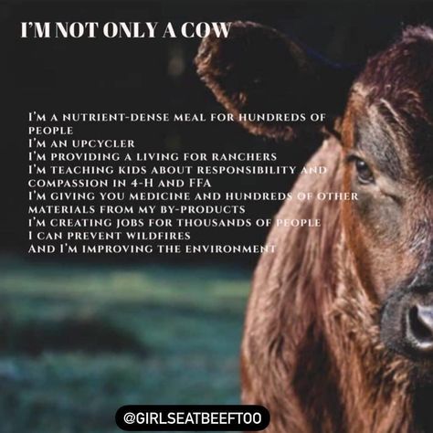 Cattle Quotes, Farm Quotes, Moving Quotes, Raising Cattle, Independence Day Quotes, Insta Captions, Cattle Ranching, Fav Quotes, Ffa