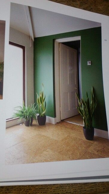 An emerald green painted wall. plus OSB floor tiled hallway. Taken from the "Style Council..." hardback book by Sarah Thompson. Osb Flooring Ideas, Osb Floor, Osb Flooring, Painted Osb, Sarah Thompson, Osb Plywood, Hallway Tiles Floor, The Style Council, Style Council