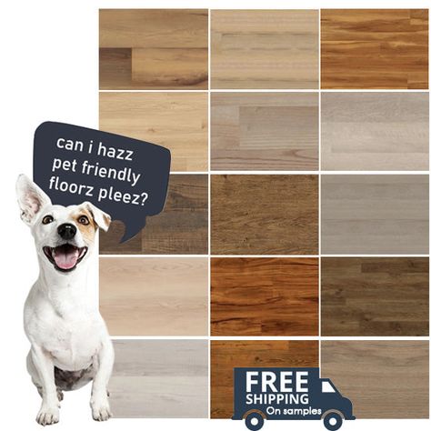 Best Floor for Dogs Best Dog Run Flooring, Diy Pet Friendly Floor Cleaner, Durable Flooring Ideas Pets, Protect Hardwood Floors From Dogs, Best Flooring For Dogs, Best Floors For Dogs, Dog Friendly Flooring, Best Wood Flooring, Coretec Flooring