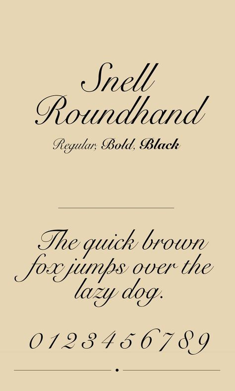 Snell Roundhand Font, Font Tattoo, Font Poster, Poster Fonts, Lazy Dog, Tattoo Fonts, Typography Design, Calligraphy, Tattoo Ideas