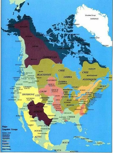 Indian History, Native American History, Interesting History, Native American Culture, Us History, Sioux, Native American Art, History Facts, History Books