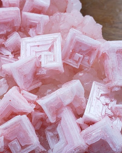 Halite Crystals, Gem Cave, Crystal Collection Display, Crystal Encyclopedia, Pink Halite, Salt Crystals, Salt Crystal, Pretty Rocks, Pink Gem