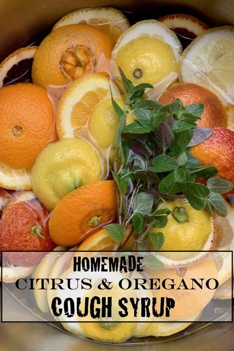 Citrus peels, fresh oregano, honey and a splash of vodka combined into a cough syrup has all the anti-inflammatory, antibacterial and vitamin boost needed to calm a cough. Oregano For Cough, Allergy Cough, Fresh Oregano, Homemade Remedies, Citrus Fruit, Oregano, Home Remedies, Natural Remedies, Syrup