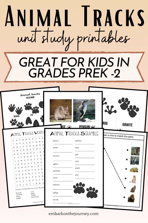 Zoology Unit Study, Animal Tracking Activities For Kids, Bear Unit Study, Zoo Animal Unit Study, Animal Lesson Plans Elementary, Animal Tracks Activities, Animal Tracks Printable Free, Animal Learning Activities, Canada Wildlife