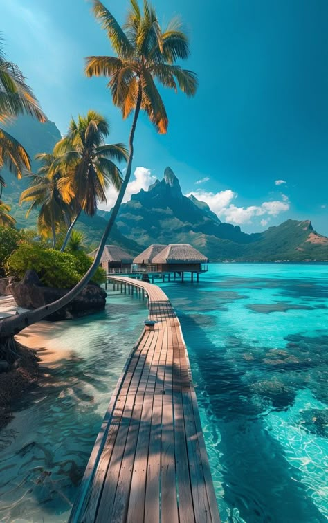 Tropical Paradise Beach, Island Pictures, Beautiful Landscape Photography, Pretty Landscapes, Sunset Nature, Beautiful Locations Nature, Cool Pictures Of Nature, Gorgeous View, Background Pictures