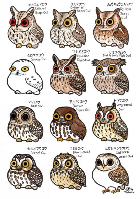 Japanese Owl Art, Owl Doodle, Eurasian Eagle Owl, Long Eared Owl, Owl Illustration, Owls Drawing, Cute Fantasy Creatures, Owl Art, Cute Owl