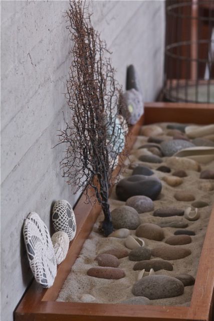 sand and rock garden, my guess is that the kids will dump it all out in less than 24hrs though... Stone Display Ideas, Rock Collection Display, Mexico Funny, Resurrection Fern, Shell Display, Rock Hunting, Natural Playground, Collection Display, Rock Decor