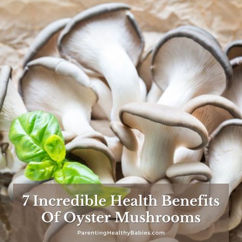 Oyster Mushroom Benefits Health, Oyster Mushrooms Benefits, Benefits Of Vegetables, Health Benefits Of Mushrooms, Mushroom Benefits, Vegetable Benefits, Mushroom Salad, Oyster Mushroom, Oyster Mushrooms