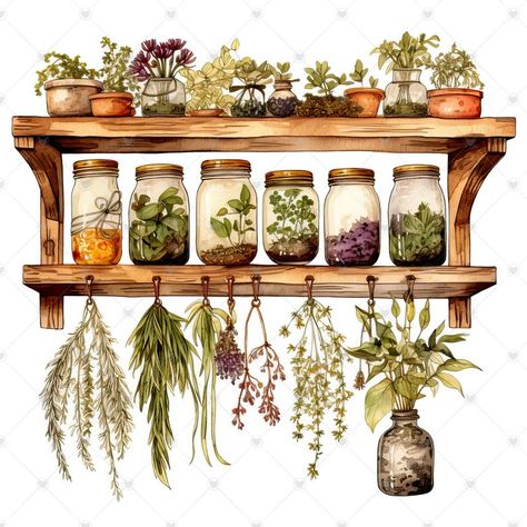 Kitchen Herbs in Jars on Shelves and Drying Herbs Clipart Bundle 10 High Quality Watercolor Jpgs Journaling, Scrapbook, Digital Download - Etsy Herbs In Jars, Herb Clipart, Glass Jars Kitchen, Jar Clipart, Herb Art, Plants In Jars, Journaling Scrapbook, Kitchen Herbs, Jar Art