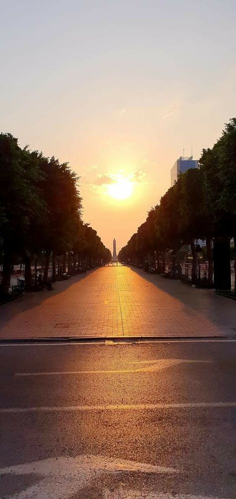 .. wandering around the core of Tunis #Metropolis.. taking a break in a rare shot, a moment of serenity immortalized for you by Zyed Dhouibi, from #Tunisia.. Zen day! Medina Core, Photo Insta, Carthage, Taking A Break, Break In, Architecture Fashion, Old City, Take A Break, Tunisia