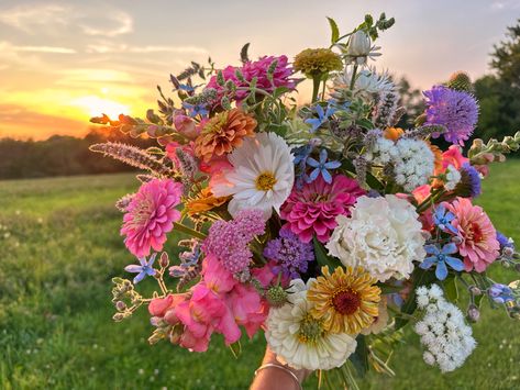 Mixed Flower Bouquet, Wildflower Wedding Theme, Cabin Wedding, 2025 Wedding, Reference Pics, Boquette Flowers, Prom Flowers, Flowers Ideas, Nothing But Flowers