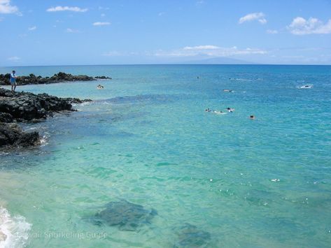 Turtle Town Maui, Westin Maui, Hawaii Snorkeling, Maui Snorkeling, Trip To Maui, Best Snorkeling, Maui Travel, Princess Cruise, Maui Vacation