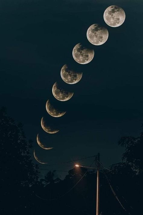 Moon Eclipse Aesthetic, Lunar Eclipse Aesthetic, Lunar Aesthetic, Eclipse Aesthetic, Eclipse Photography, Eclipse Phase, Galaxy Flowers, Eclipse Lunar, Japanese Photography