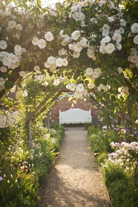 Half a century ago, one of Britain's greatest ever gardeners planted roses at Mottisfont Abbey — and right now is the perfect time to go and see them - Country Life Georgian Garden, Mottisfont Abbey, Tom Stuart Smith, Farmhouse Stand, County House, Country Bedroom, Chelsea Flower, Chelsea Flower Show, Time To Go