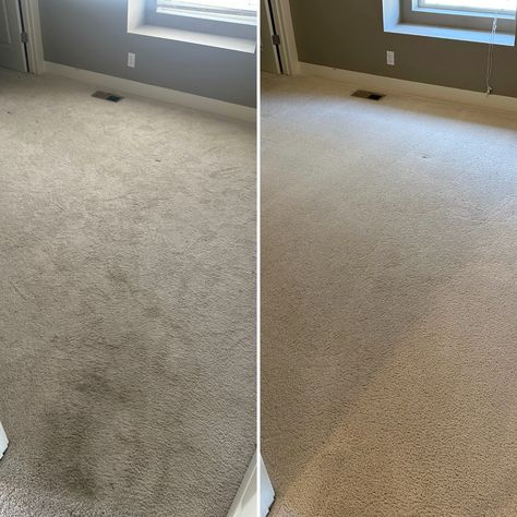 Check out this incredible transformation! 🧼✨ See before and after of our latest carpet cleaning job. The results speak for themselves—years of dirt and stains gone, leaving the carpet looking like new! If your floors need a refresh, we’re here to help. #CarpetCleaning #BeforeAndAfter #HomeRefresh #CleanLiving Peroxide Carpet Cleaner, How To Get Dried Paint Out Of Carpet, Remove Dried Paint From Carpet, How To Clean Old Stains From Carpet, Borax Carpet Cleaner For Machine, Home Re, Clean Living, How To Clean Carpet, Carpet