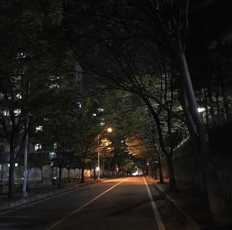 Aesthetic Night Street, Night Streetlight, Streetlight Aesthetic, Alone Vibes, Dark Road, Street At Night, City Road, Dark City, Dark Paradise