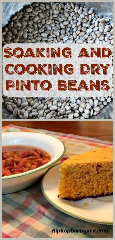 Soaking and Cooking Dry Beans. Dry beans need to be soaked to cook them properly. Here is how to soak and cook beans. Cooking Dry Beans, Soaking Beans, Wood Cookstove, Homestyle Cooking, Cooking Beans, Cook Beans, Beans And Cornbread, Pinto Bean Recipes, Beans Beans